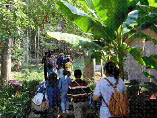 http://lswh.hubei-university.com/__local/7/30/C7/F2019F0B4E5EAAA29C0DD133654_7EC712A6_DC05B.png