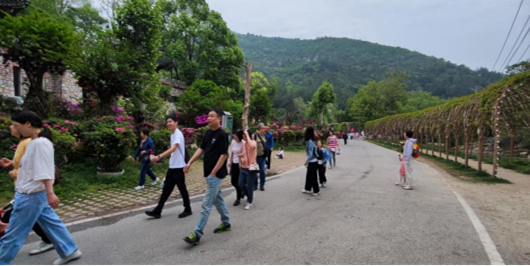 http://mci.hubei-university.com/__local/6/49/C9/D9A2459DA22A02302852CD19C39_1F473D1F_7AA1D.png